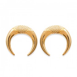 Boucles d'oreilles cornes Plaqué Or 18 carats Bijou tendance