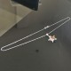 Collier argent 925/000 pendentif étoile cristal Swarovski aurore boréale
