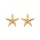 Boucles d'oreilles étoiles de mer Plaqué Or 18 carats